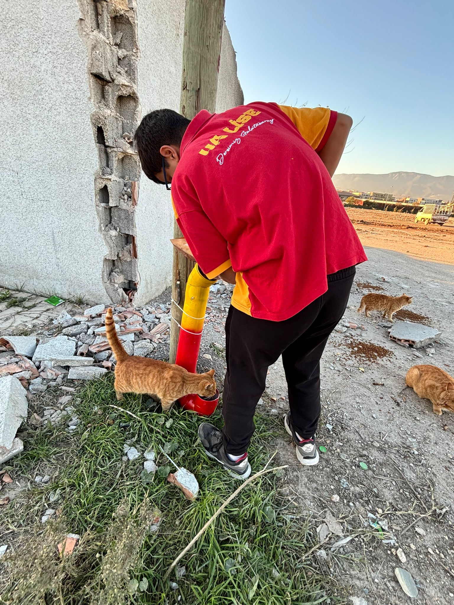 ultrAslanLİSE Hatay’dan Patili Dostlarımıza Destek — 1
